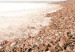 Canvas Legzira (1-part) vertical - rocky seascape 129493 additionalThumb 4