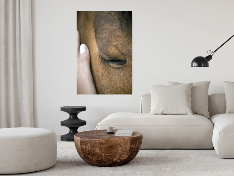 Poster Soothing Touch - human hand gently touching the face of a brown horse 130293 additionalImage 2