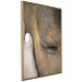 Poster Soothing Touch - human hand gently touching the face of a brown horse 130293 additionalThumb 12