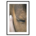 Poster Soothing Touch - human hand gently touching the face of a brown horse 130293 additionalThumb 15