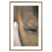 Poster Soothing Touch - human hand gently touching the face of a brown horse 130293 additionalThumb 16