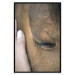 Poster Soothing Touch - human hand gently touching the face of a brown horse 130293 additionalThumb 17
