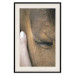 Poster Soothing Touch - human hand gently touching the face of a brown horse 130293 additionalThumb 20