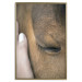 Poster Soothing Touch - human hand gently touching the face of a brown horse 130293 additionalThumb 20
