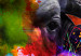 Canvas Print African Buffalo (1-piece) Wide - abstraction of a colorful buffalo 130393 additionalThumb 5