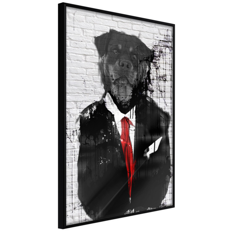 Wall Poster Elegant Rottweiler - abstraction of a dog in a suit on a brick wall 130793 additionalImage 11
