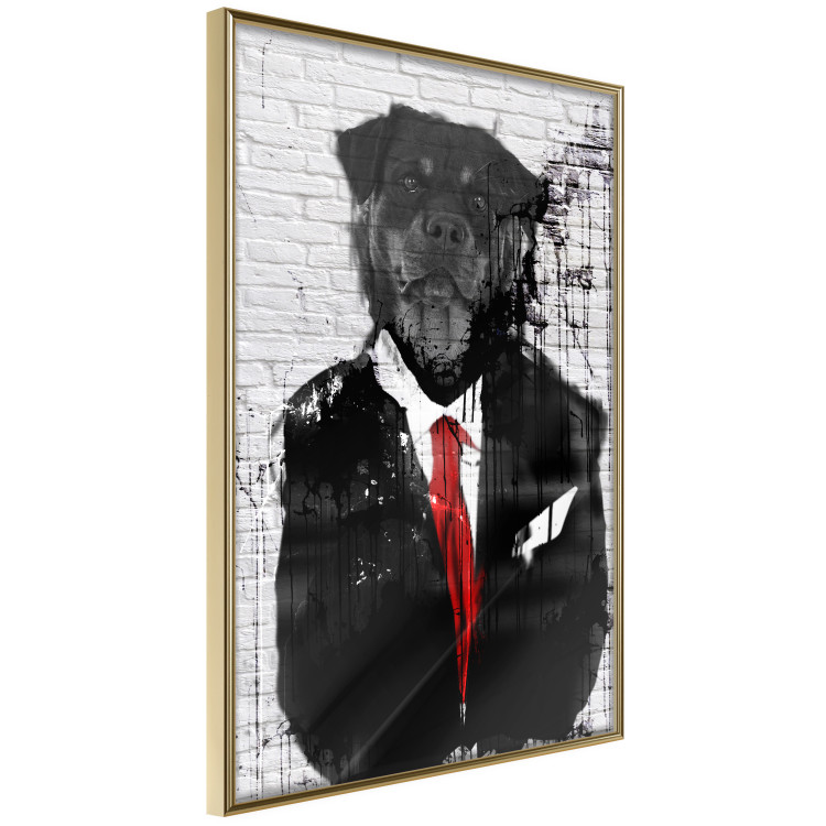 Wall Poster Elegant Rottweiler - abstraction of a dog in a suit on a brick wall 130793 additionalImage 12