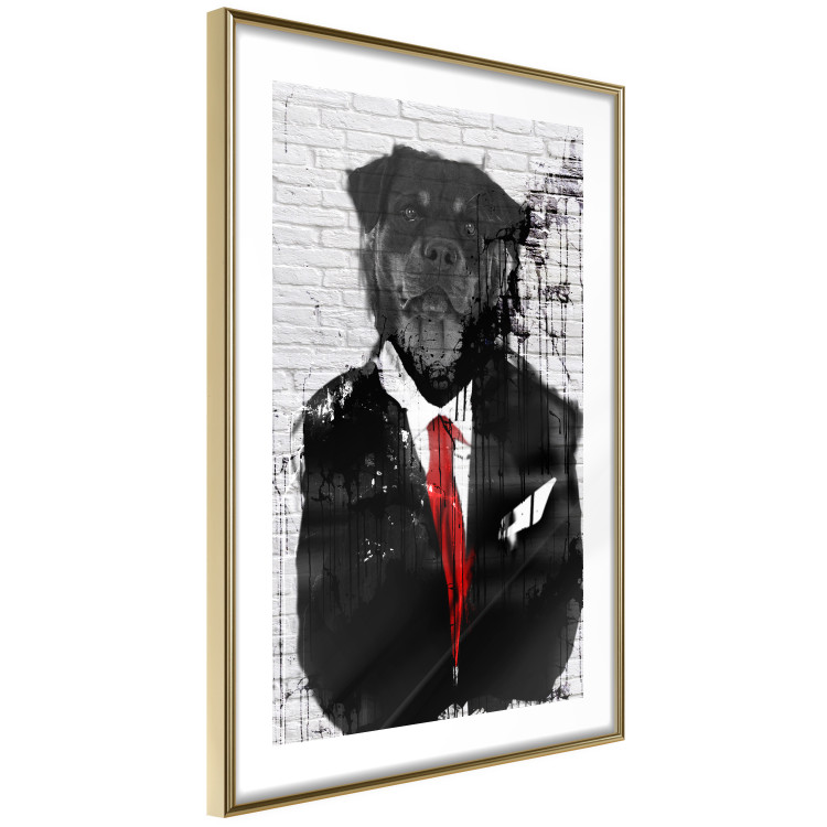 Wall Poster Elegant Rottweiler - abstraction of a dog in a suit on a brick wall 130793 additionalImage 7