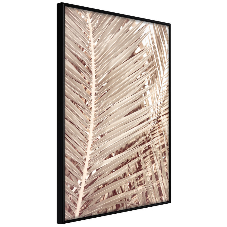 Wall Poster Beige Palm - composition of tropical palm leaves in golden hue 135293 additionalImage 19