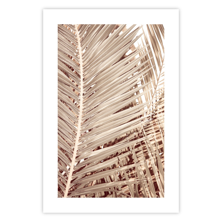 Wall Poster Beige Palm - composition of tropical palm leaves in golden hue 135293 additionalImage 2