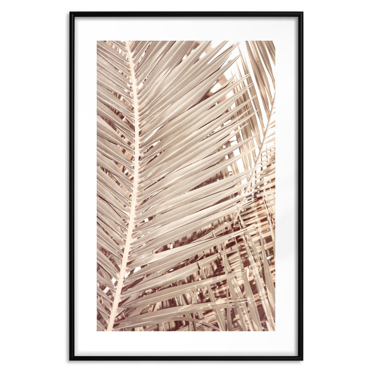Wall Poster Beige Palm - composition of tropical palm leaves in golden hue 135293 additionalImage 25