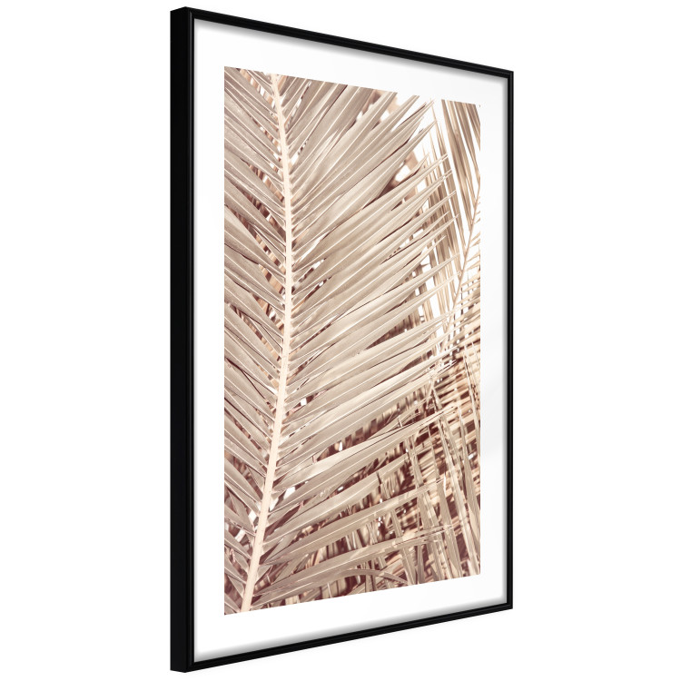 Wall Poster Beige Palm - composition of tropical palm leaves in golden hue 135293 additionalImage 17