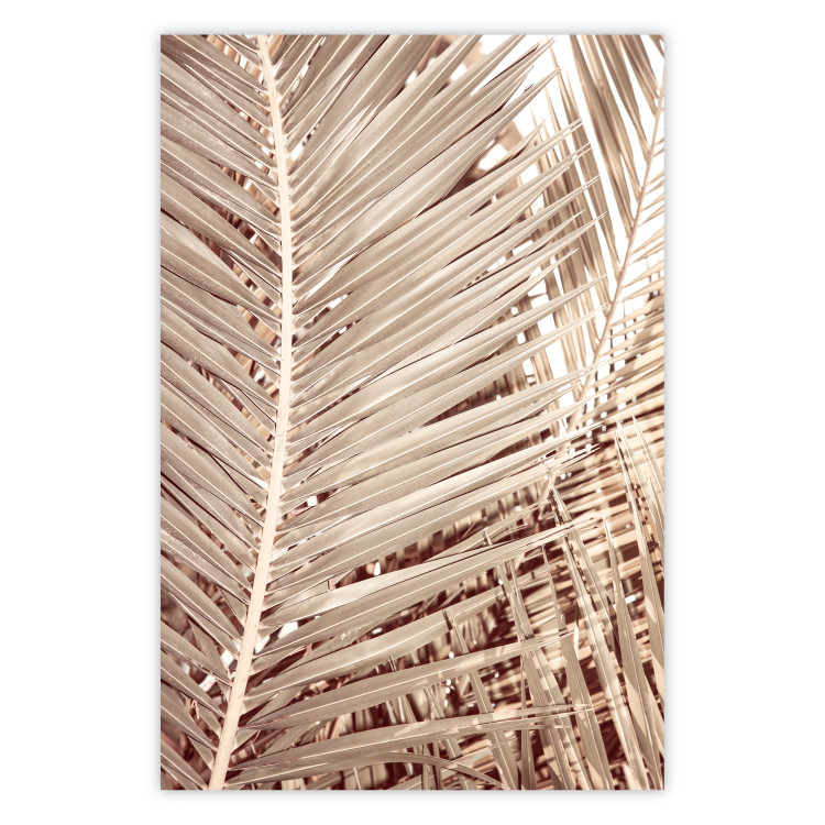 Wall Poster Beige Palm - composition of tropical palm leaves in golden hue 135293