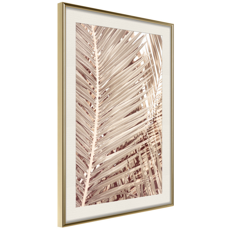 Wall Poster Beige Palm - composition of tropical palm leaves in golden hue 135293 additionalImage 14