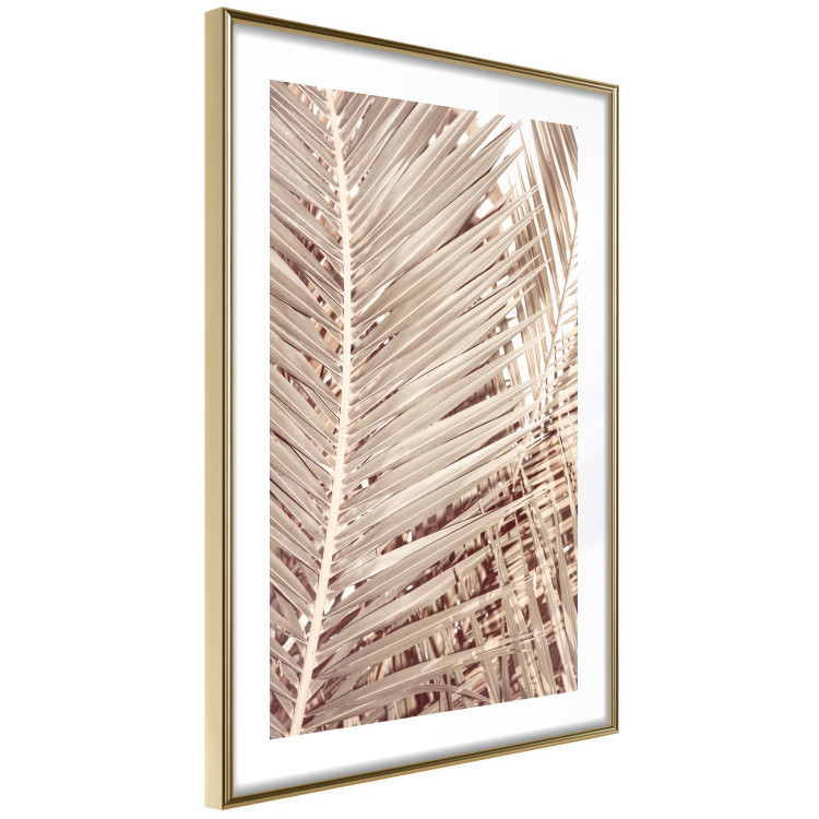 Wall Poster Beige Palm - composition of tropical palm leaves in golden hue 135293 additionalImage 11