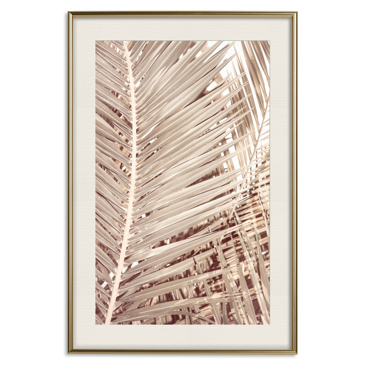 Wall Poster Beige Palm - composition of tropical palm leaves in golden hue 135293 additionalImage 22