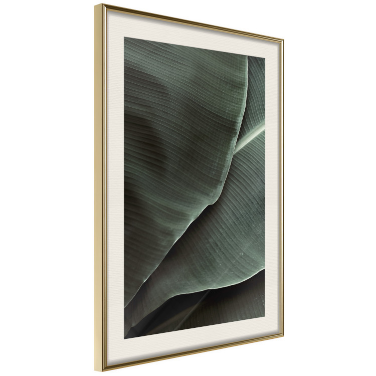 Wall Poster Green Serenity - luxurious composition of leaves with distinct texture 135593 additionalImage 15