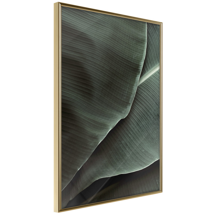 Wall Poster Green Serenity - luxurious composition of leaves with distinct texture 135593 additionalImage 18