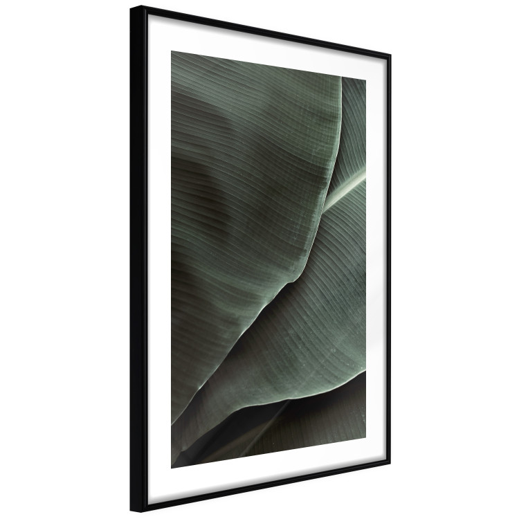 Wall Poster Green Serenity - luxurious composition of leaves with distinct texture 135593 additionalImage 14