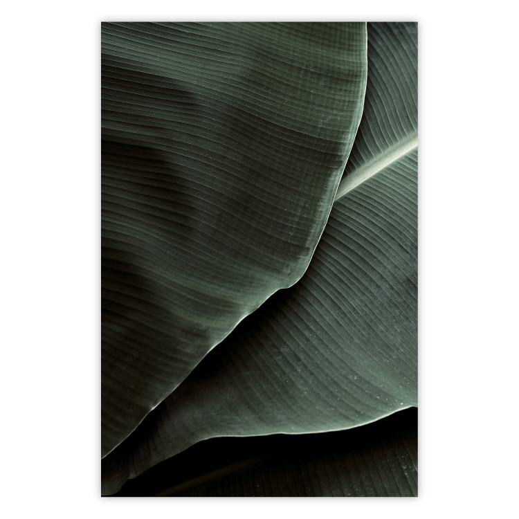 Wall Poster Green Serenity - luxurious composition of leaves with distinct texture 135593