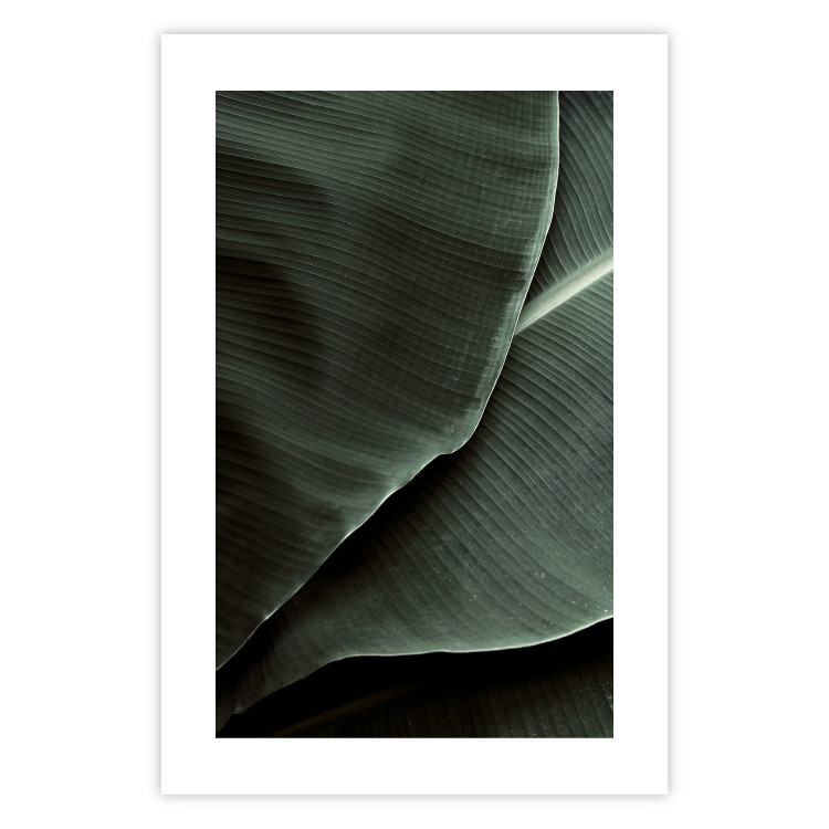 Wall Poster Green Serenity - luxurious composition of leaves with distinct texture 135593 additionalImage 4