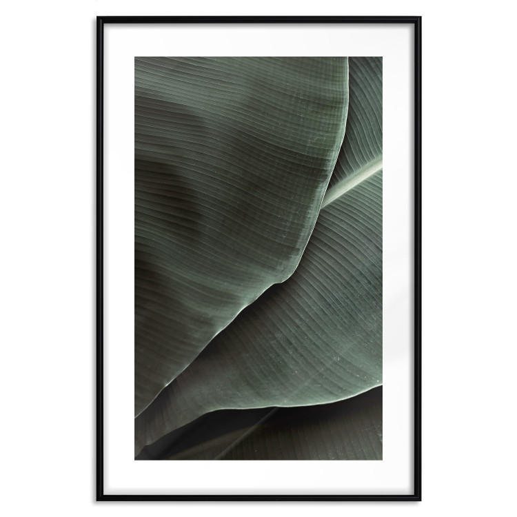 Wall Poster Green Serenity - luxurious composition of leaves with distinct texture 135593 additionalImage 25