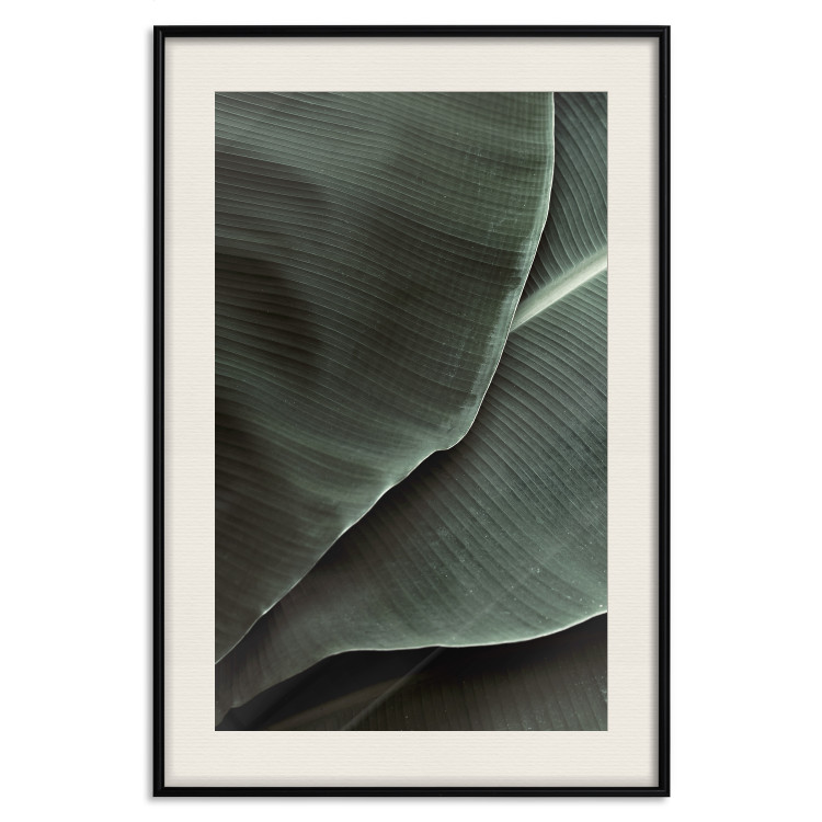 Wall Poster Green Serenity - luxurious composition of leaves with distinct texture 135593 additionalImage 27