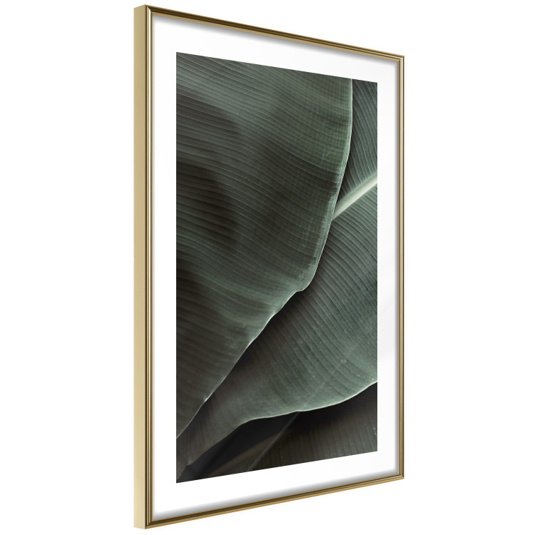 Wall Poster Green Serenity - luxurious composition of leaves with distinct texture 135593 additionalImage 12