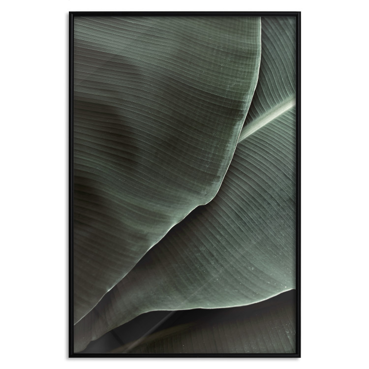 Wall Poster Green Serenity - luxurious composition of leaves with distinct texture 135593 additionalImage 3