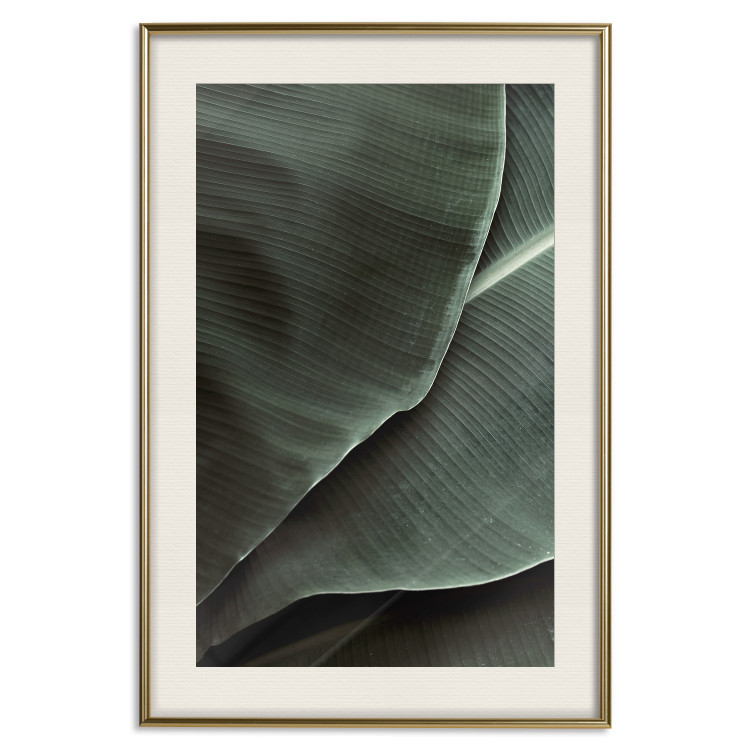 Wall Poster Green Serenity - luxurious composition of leaves with distinct texture 135593 additionalImage 26