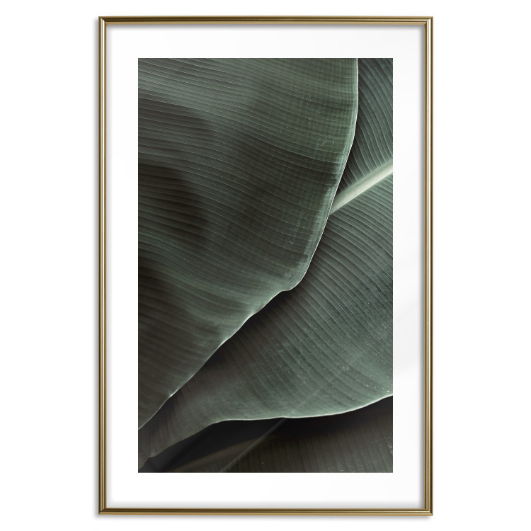 Wall Poster Green Serenity - luxurious composition of leaves with distinct texture 135593 additionalImage 23
