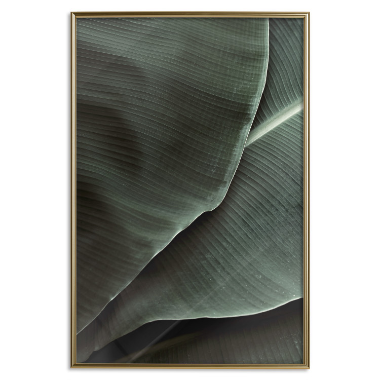 Wall Poster Green Serenity - luxurious composition of leaves with distinct texture 135593 additionalImage 2