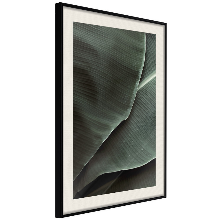 Wall Poster Green Serenity - luxurious composition of leaves with distinct texture 135593 additionalImage 16