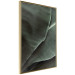 Wall Poster Green Serenity - luxurious composition of leaves with distinct texture 135593 additionalThumb 18
