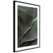 Wall Poster Green Serenity - luxurious composition of leaves with distinct texture 135593 additionalThumb 14