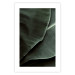Wall Poster Green Serenity - luxurious composition of leaves with distinct texture 135593 additionalThumb 4