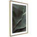 Wall Poster Green Serenity - luxurious composition of leaves with distinct texture 135593 additionalThumb 17