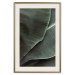 Wall Poster Green Serenity - luxurious composition of leaves with distinct texture 135593 additionalThumb 26