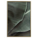 Wall Poster Green Serenity - luxurious composition of leaves with distinct texture 135593 additionalThumb 2
