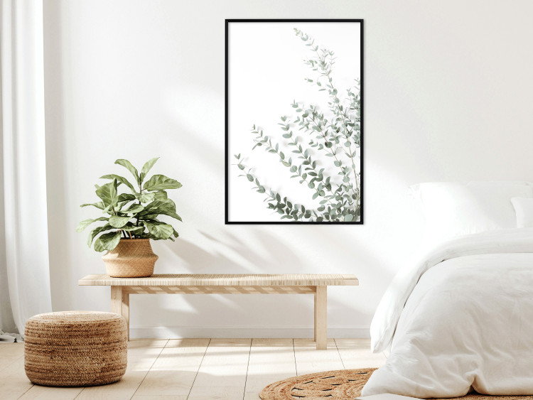 Poster Eucalyptus Parvifolia - minimalist composition with green plant 137493 additionalImage 21