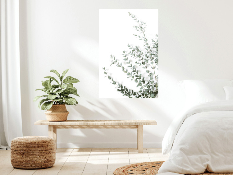 Poster Eucalyptus Parvifolia - minimalist composition with green plant 137493 additionalImage 11
