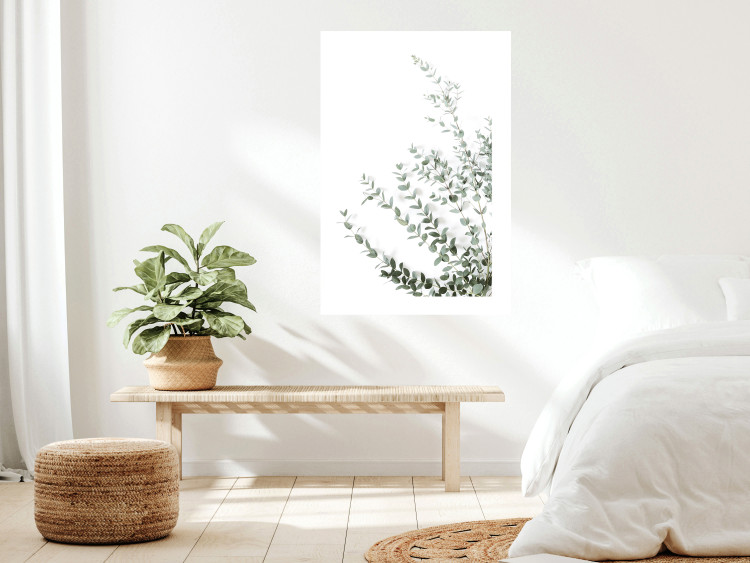 Poster Eucalyptus Parvifolia - minimalist composition with green plant 137493 additionalImage 22