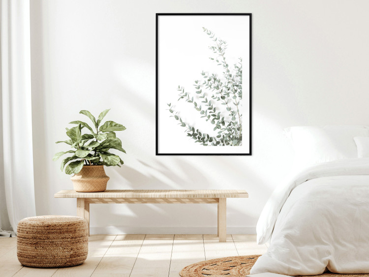Poster Eucalyptus Parvifolia - minimalist composition with green plant 137493 additionalImage 19