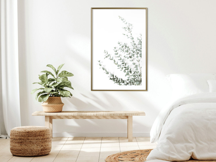 Poster Eucalyptus Parvifolia - minimalist composition with green plant 137493 additionalImage 18