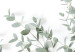 Poster Eucalyptus Parvifolia - minimalist composition with green plant 137493 additionalThumb 20