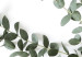 Poster Eucalyptus Parvifolia - minimalist composition with green plant 137493 additionalThumb 4