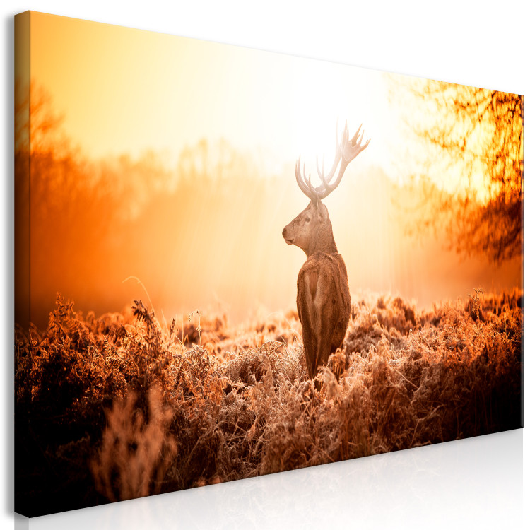 Large canvas print Deer in the Sun II [Large Format] 137593 additionalImage 3