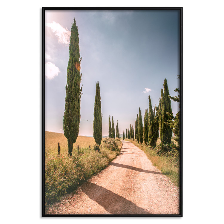 Wall Poster Italian Cypresses - landscape of a path with trees against a blue sky 138693 additionalImage 18
