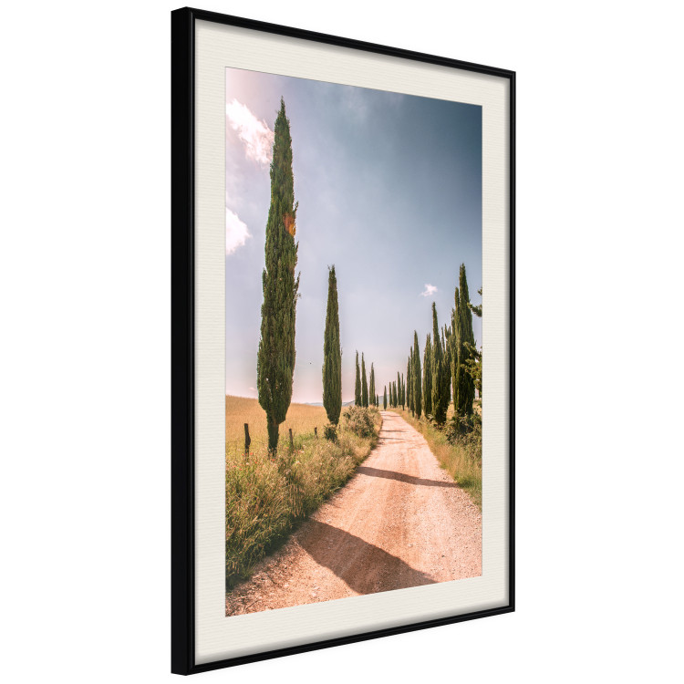 Wall Poster Italian Cypresses - landscape of a path with trees against a blue sky 138693 additionalImage 27