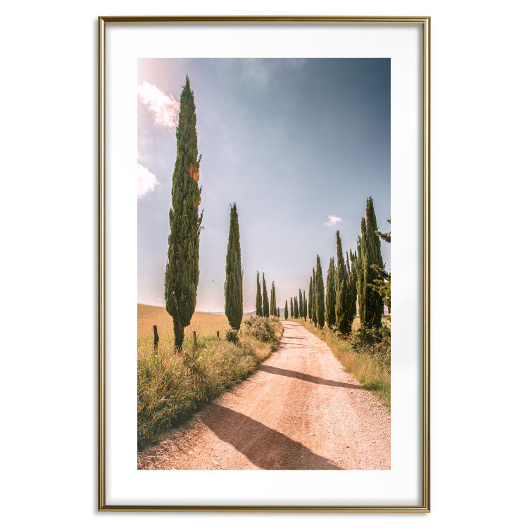 Wall Poster Italian Cypresses - landscape of a path with trees against a blue sky 138693 additionalImage 6
